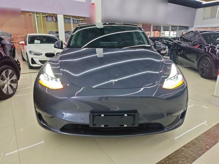 Model Y 2021 Long Range AWD 3D7 photo 2