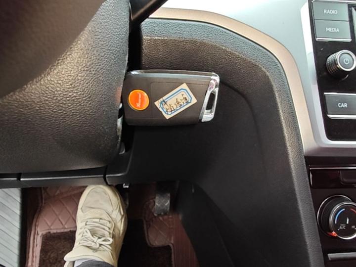 Lamando 2019 230TSI DSG China V photo 8