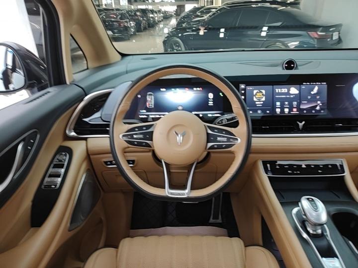 Voyah Dreamer 2022 + Smart photo 6