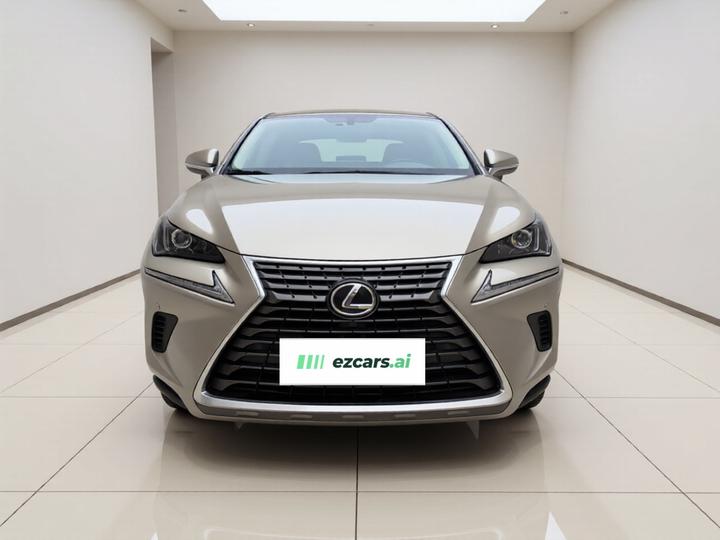 NX 2020 200 FWD China VI photo 2