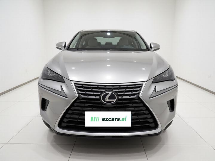 NX 2020 200 FWD China V photo 2