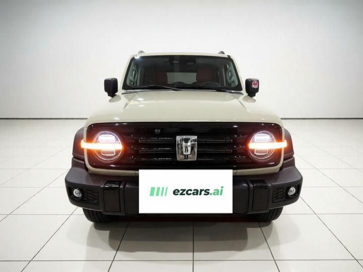300 2025 2.0T Petrol Conqueror photo 2