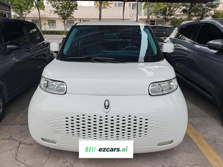 2022 Upgraded 305km Luxury NCM photo 2