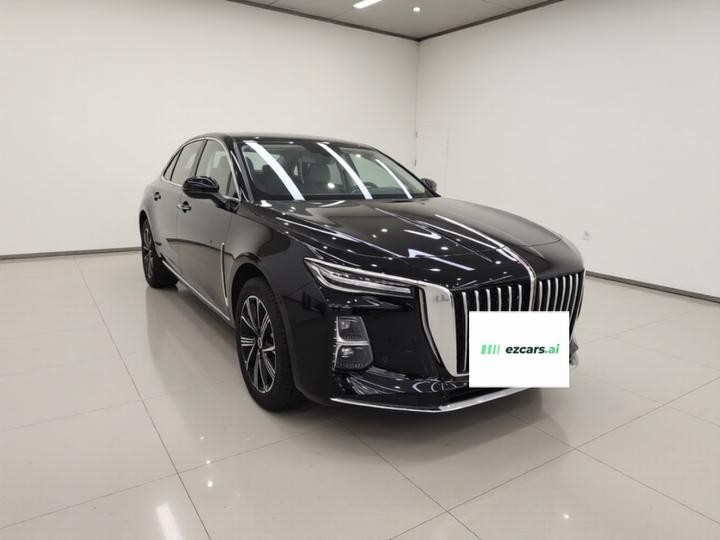 H5 PHEV 2025 130 photo 3