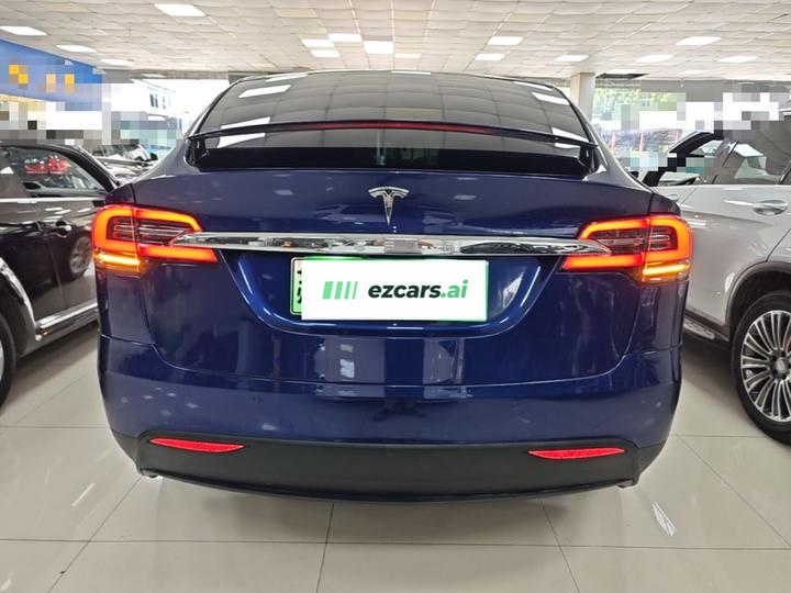 Model X 2019 Long Range photo 3