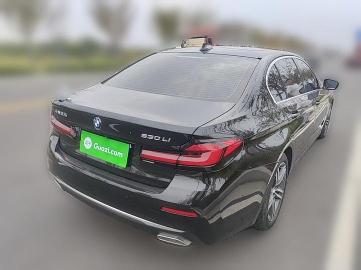 5 Series 2022 Facelift 530Li Leading Luxury photo 6