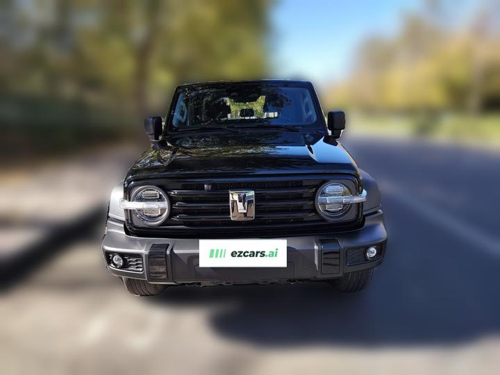 300 2024 2.0T Conqueror photo 2