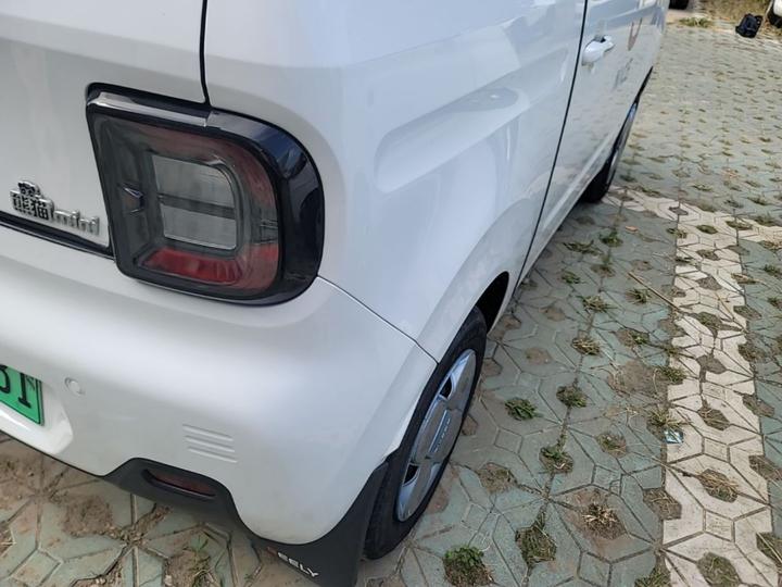 2023 Panda mini 200km Endurance Bear photo 7