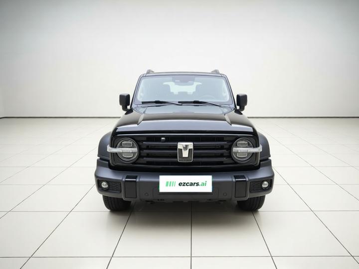 300 2024 2.0T Conqueror photo 2