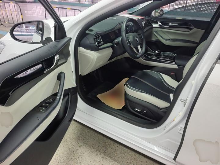 Qin PLUS 2021 DM-i 55KM Flagship photo 3