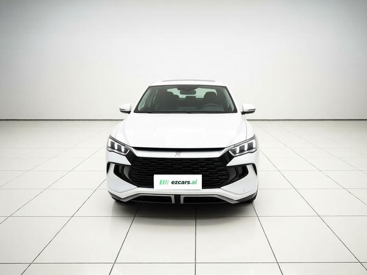 Song Pro EV 2024 Honor DM-i 71KM Pilot photo 2