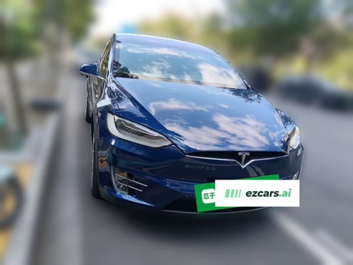 Model X 2019 Long Range photo 2