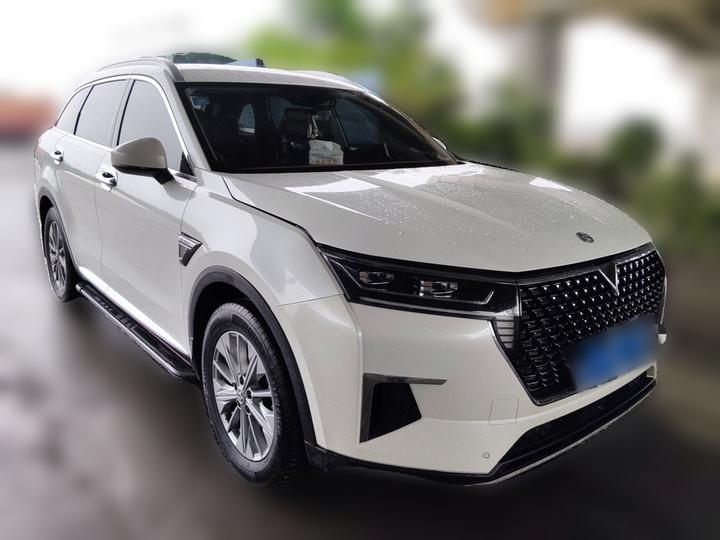 2021 260T AT 48V Mild Hybrid photo 3