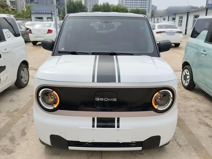 2023 Panda mini 200km Endurance Bear photo 2