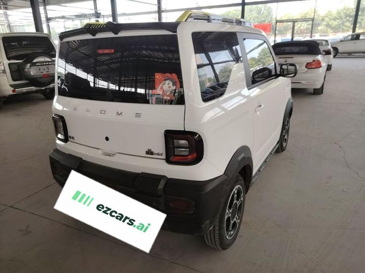 2025 210km Panda photo 4