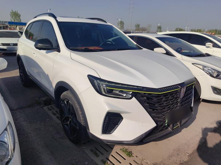 RX5 EV 2021 ePLUS Luxury photo 3