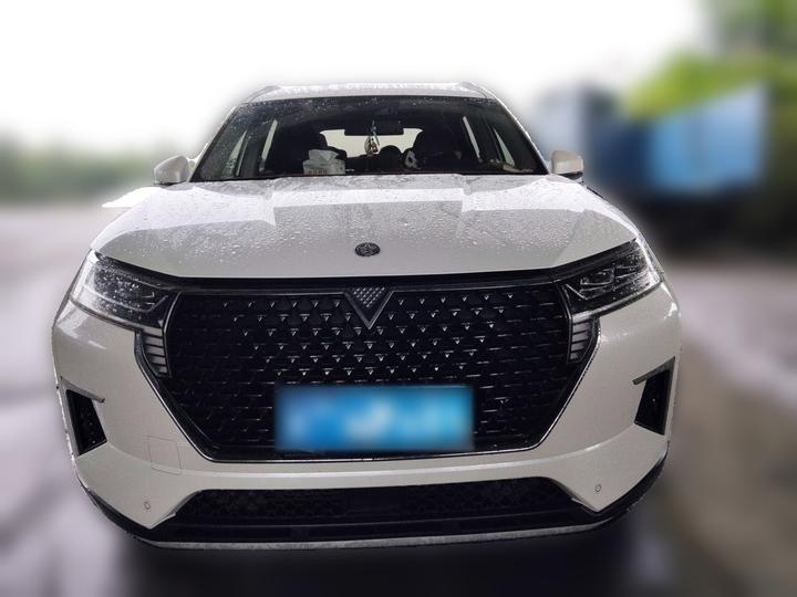 2021 260T AT 48V Mild Hybrid photo 2