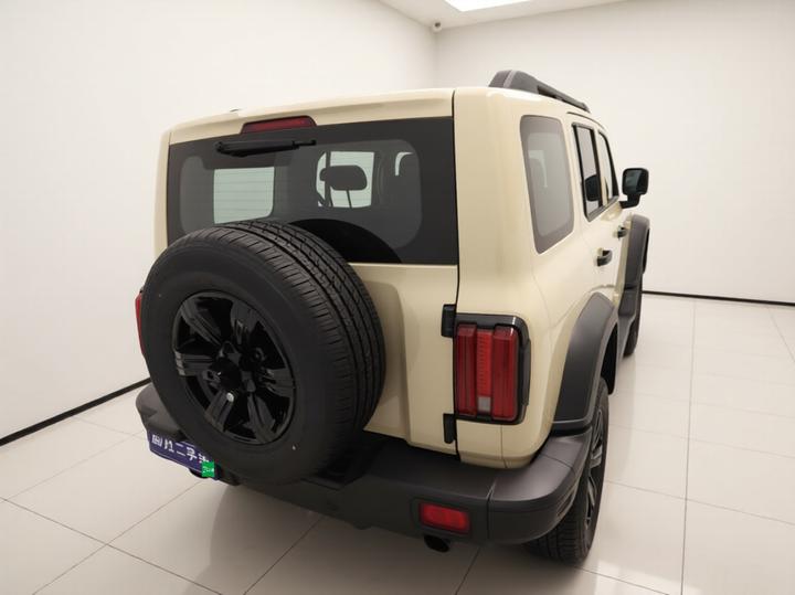 300 2025 2.0T Petrol Conqueror photo 6