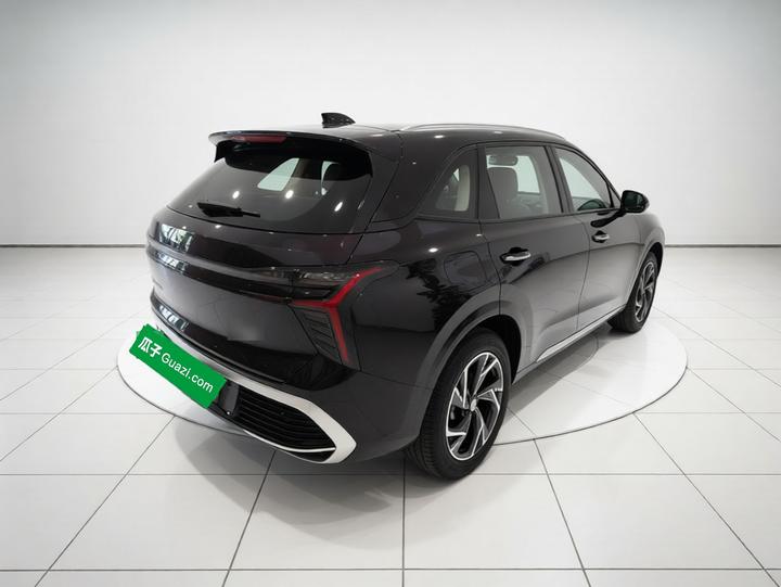 HS3 PHEV 2025 117km photo 6