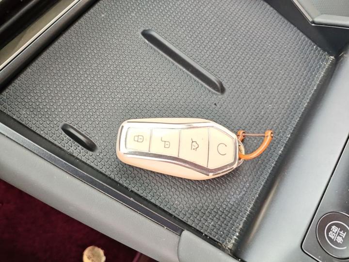 Qin L 2024 DM-i 80KM photo 8