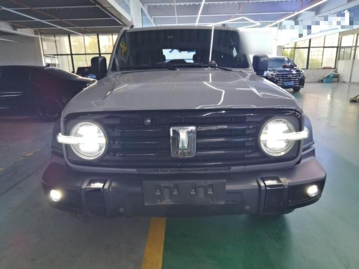 300 2021 Off-road 2.0T Conqueror photo 2