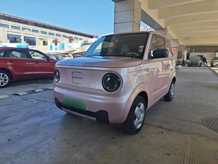 2024 Panda mini 200km Endurance Bear