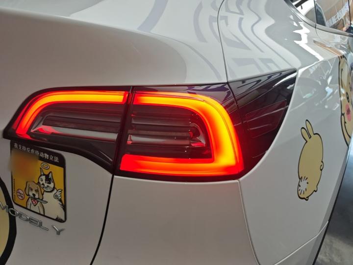 Model Y 2021 Standard Range RWD photo 7