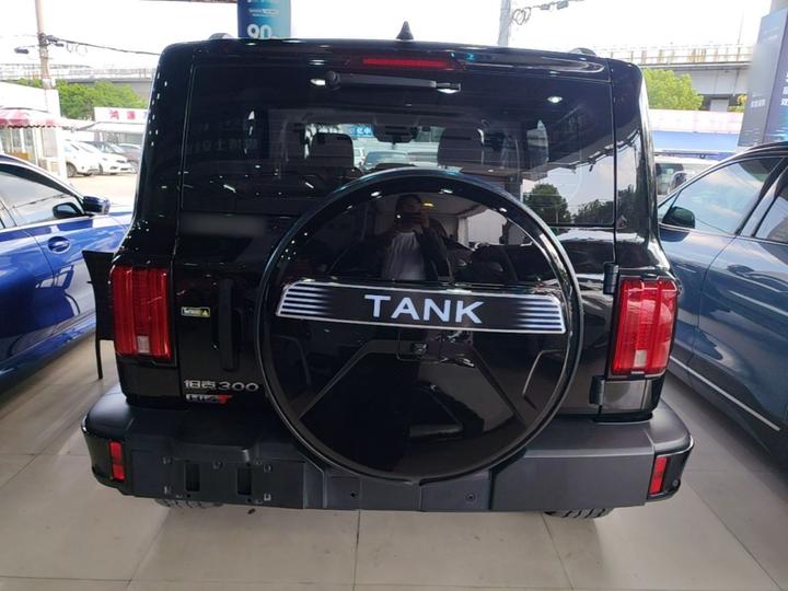 300 EV 2025 Hi4-T 37.1kWh photo 5