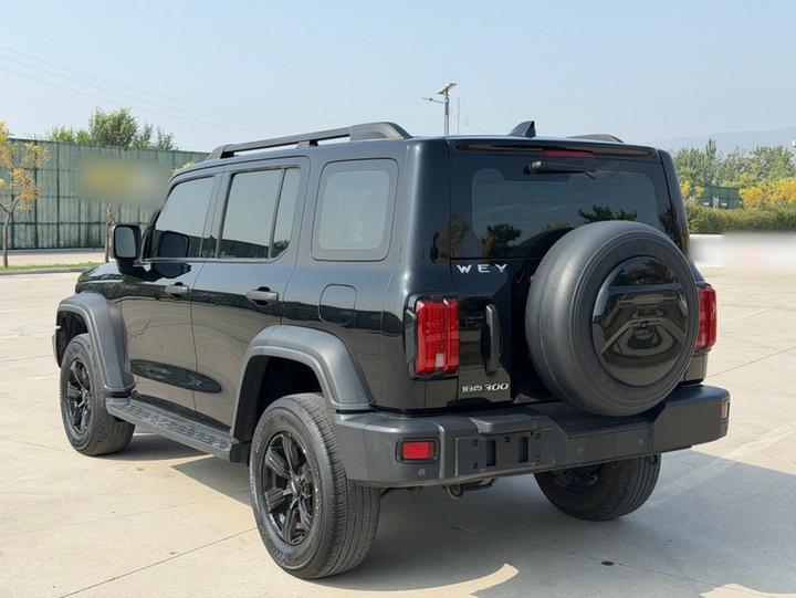 300 2021 Off-road 2.0T photo 4