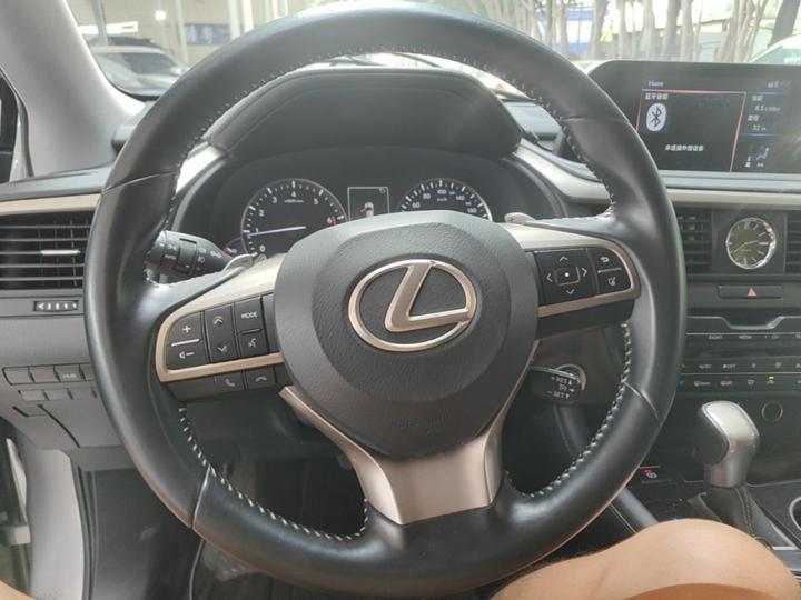 RX 2020 Facelift 300 RWD Elite photo 5