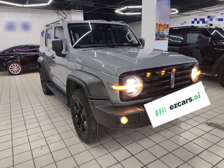 300 2021 Off-road 2.0T Conqueror photo 3
