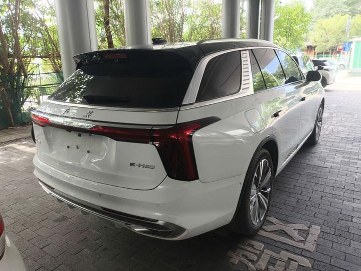 E-HS9 2022 660km 6-Seater photo 4