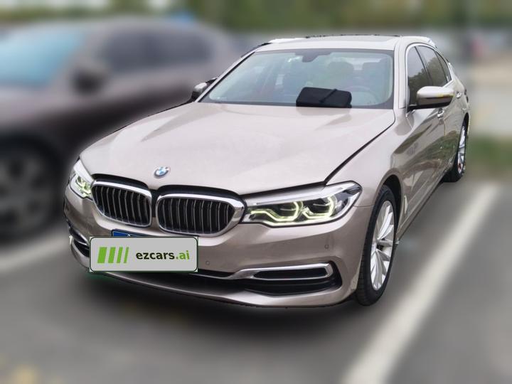 5 Series 2019 Facelift 530Li xDrive Luxury