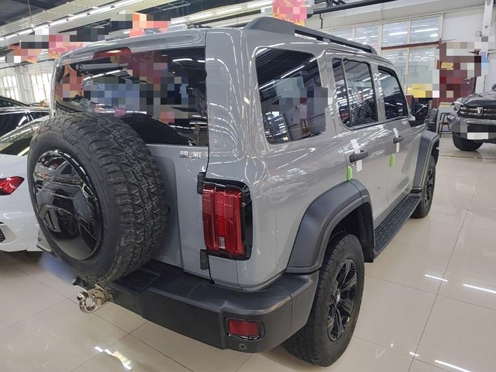 300 2021 Off-road 2.0T photo 6