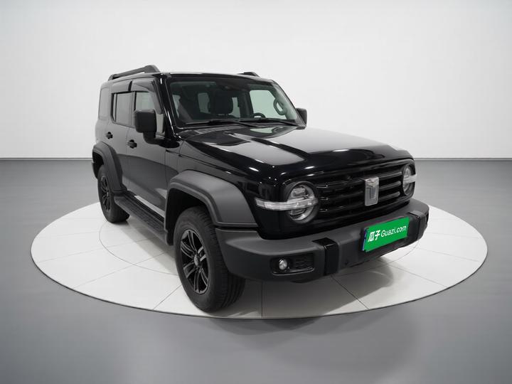 300 2021 Off-road 2.0T Conqueror photo 3