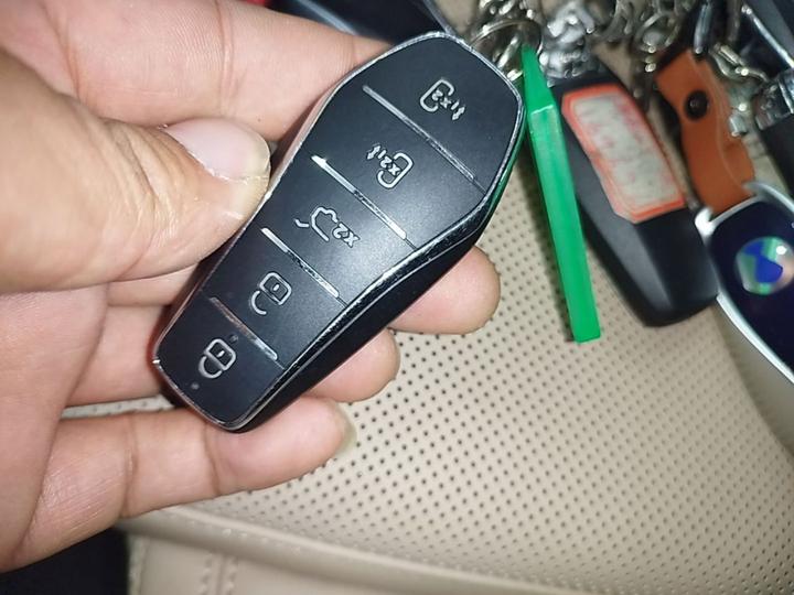 Song Pro EV 2025 2nd Gen DM-i 115KM photo 8
