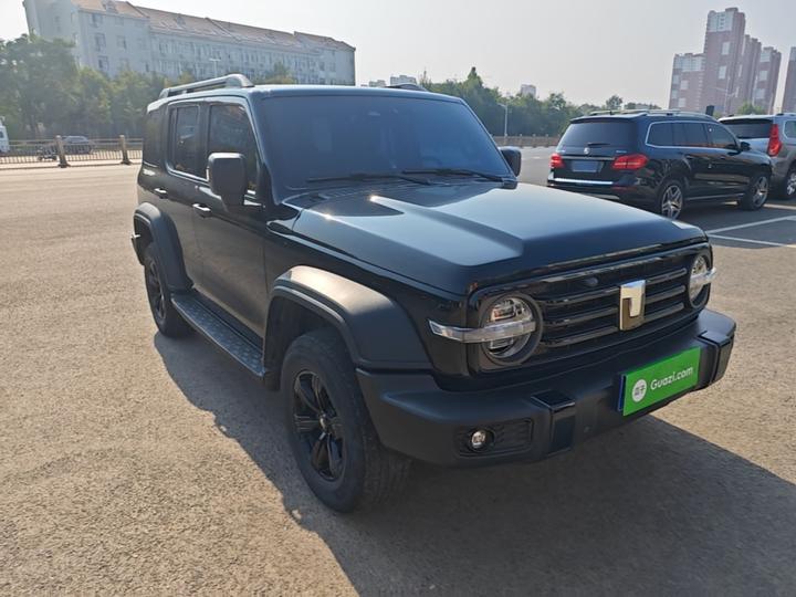 300 2024 2.0T Conqueror photo 3