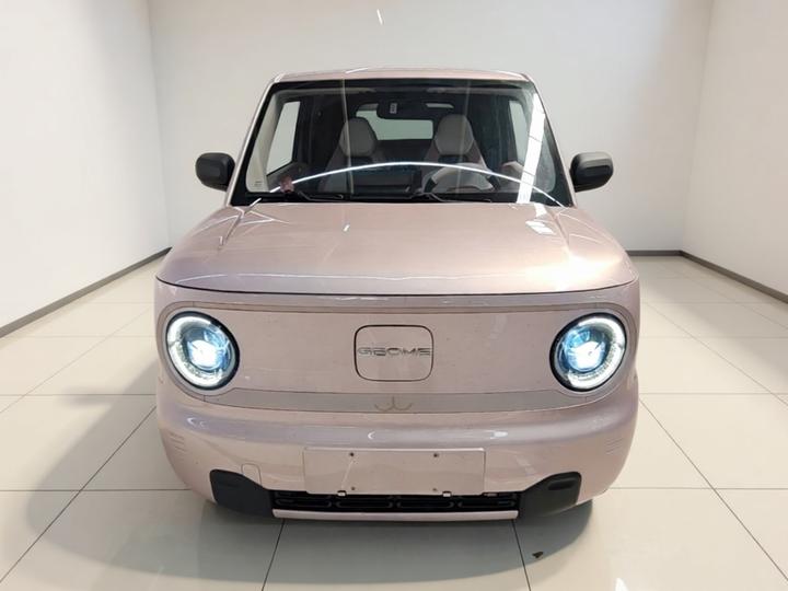 2023 Panda mini 200km Endurance Bear photo 2