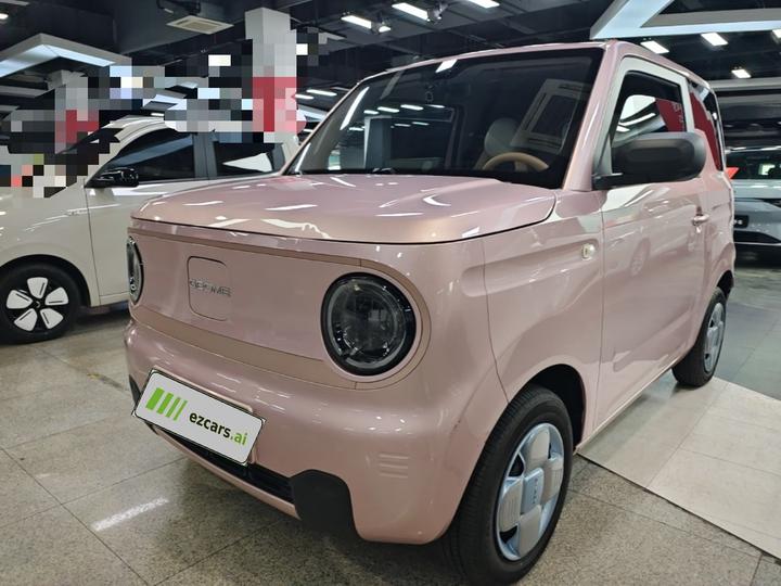 2023 Panda mini 200km Endurance Bear