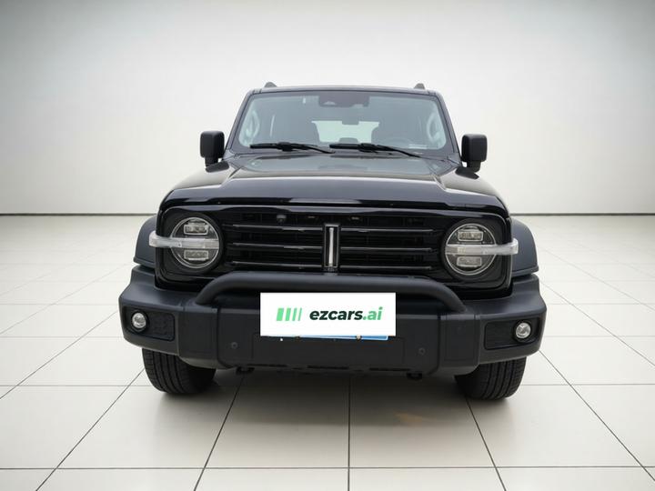 300 2021 Off-road 2.0T Conqueror photo 2