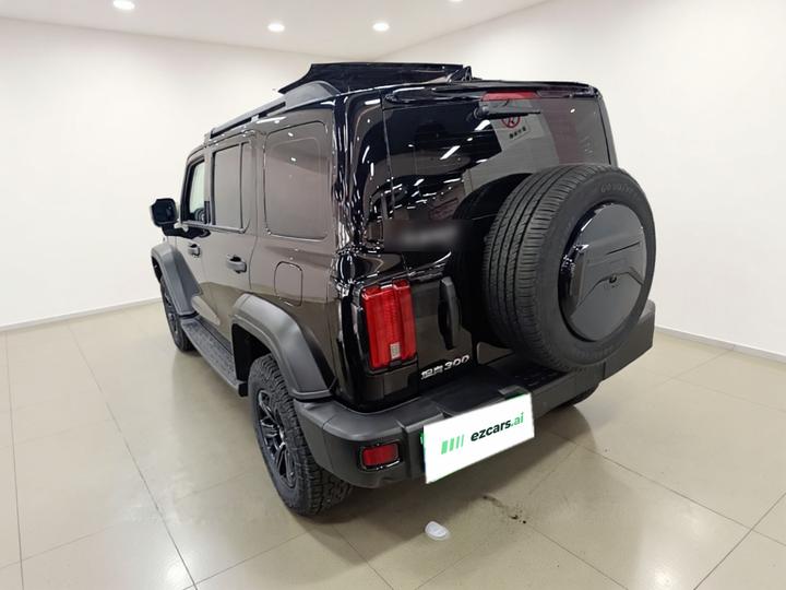 300 2021 Off-road 2.0T Conqueror photo 4