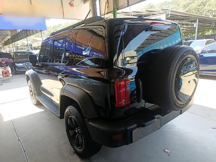300 2021 Off-road 2.0T Conqueror photo 4