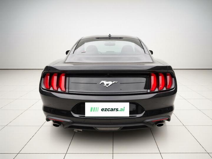 Mustang 2019 2.3L EcoBoost photo 3