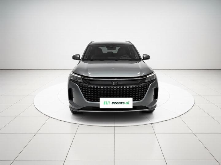 Bluelectric E5 2023 1.5L DE-i 100KM 7-Seater photo 2