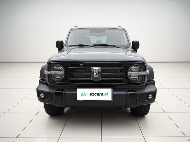 300 2024 2.0T Conqueror photo 2