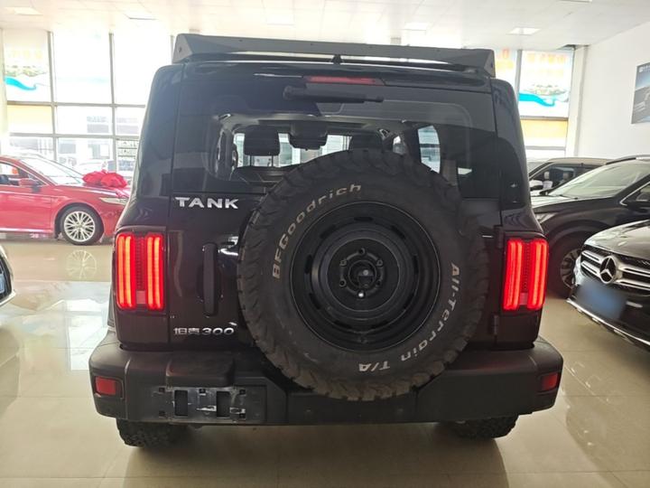 300 2021 Off-road 2.0T Conqueror photo 3
