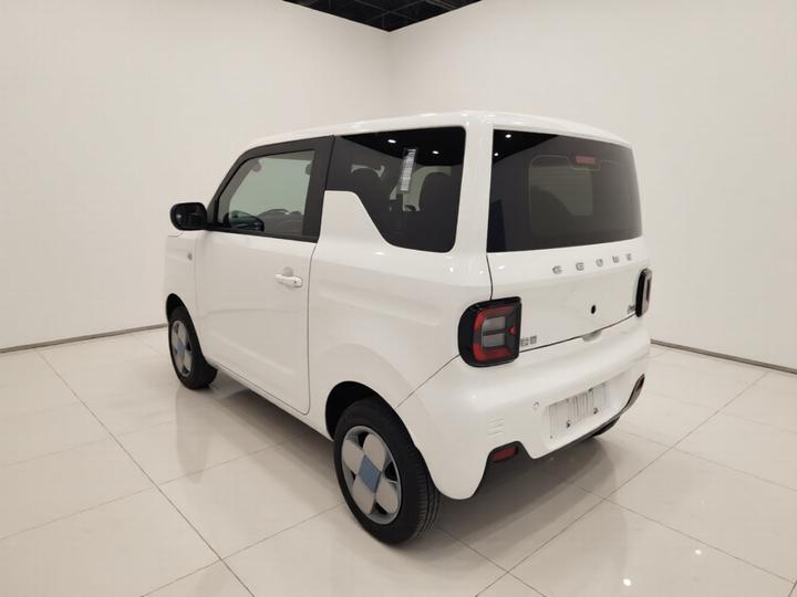 2023 Panda mini 200km Endurance Bear photo 4