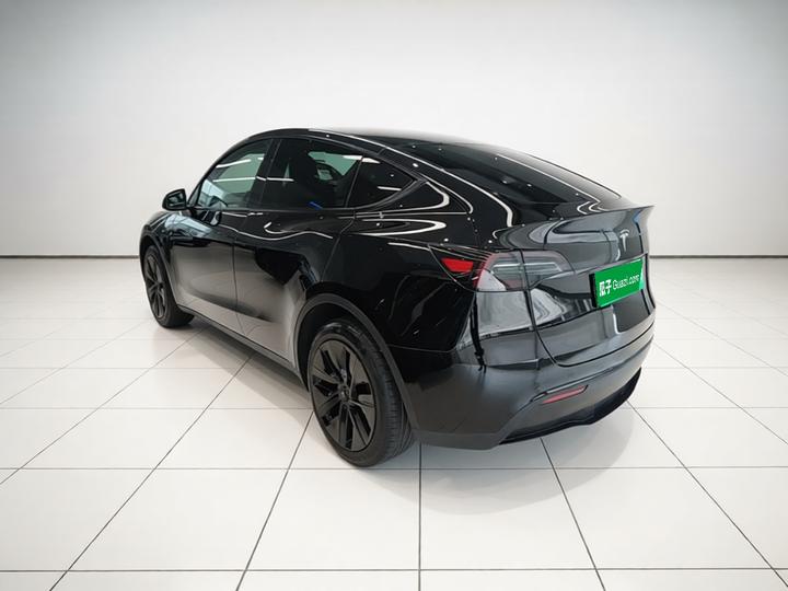 Model Y 2021 Long Range AWD photo 4
