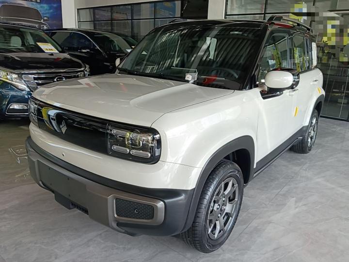 Plus 2026 301km Flagship