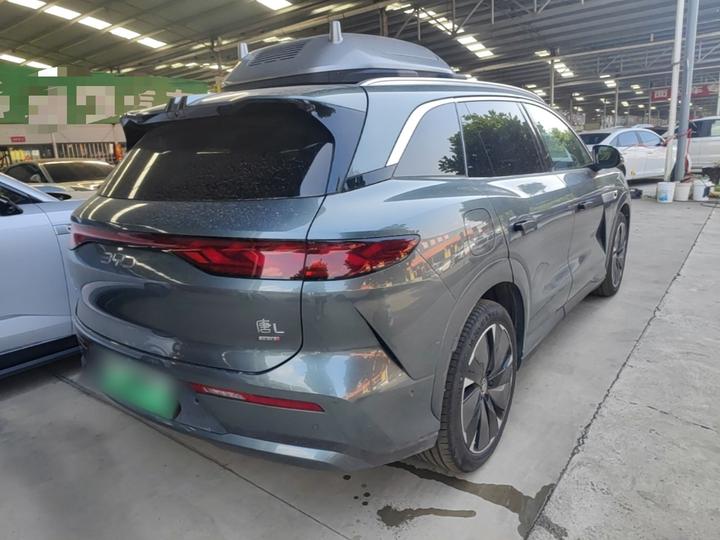 Tang L 2025 DM 175KM photo 4